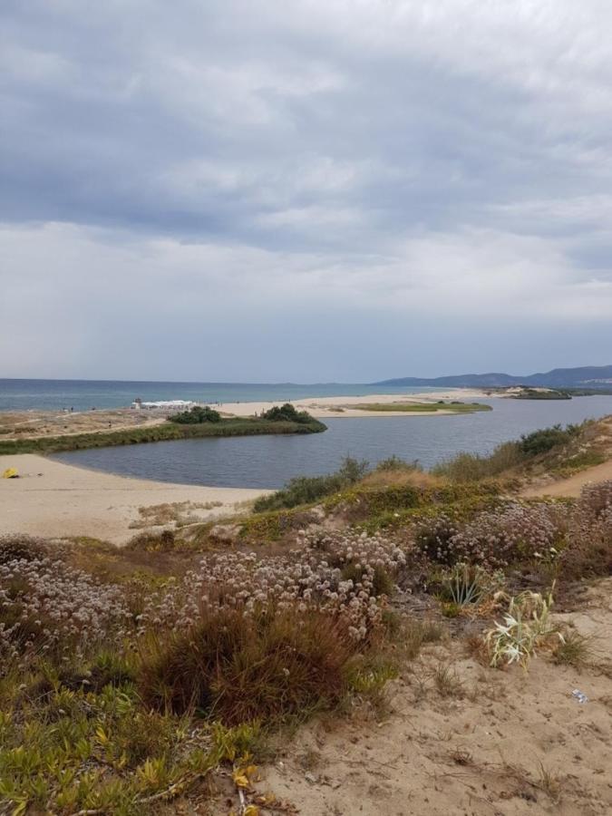 Villa "La Pina" Valledoria  Eksteriør billede